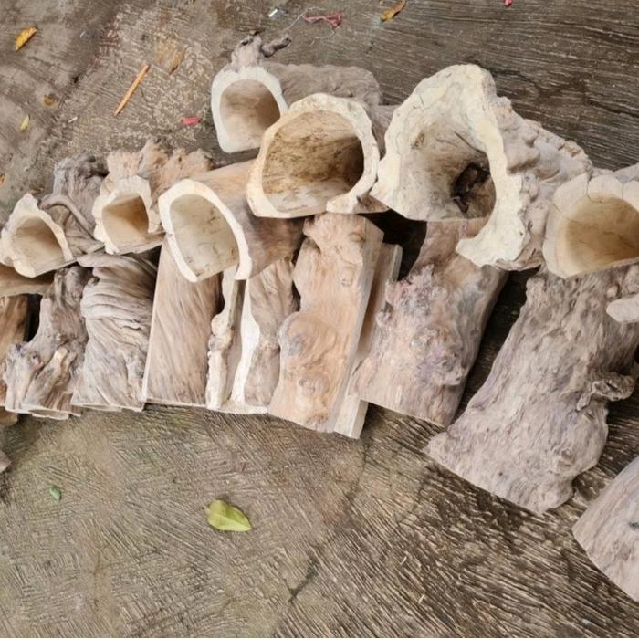 Ready Kayu Kopi Rumah Reptile Hiding Cave Jumbo Berkualitas