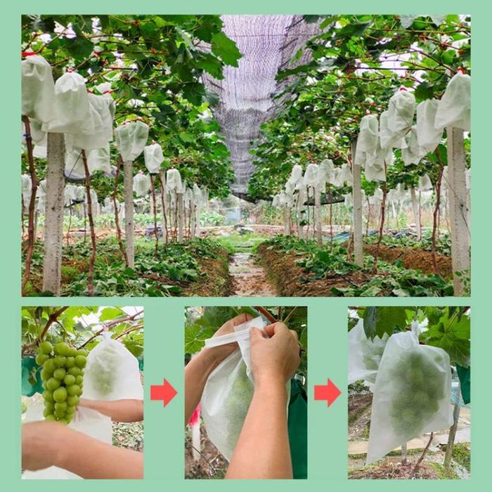ASLI Pembungkus buah/Fruit Cover Paket 100pcs Fruit Cover Easy Grow Pembungkus Buah