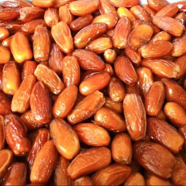 Kurma Tunisia Madu Palm Fruit 5Kg