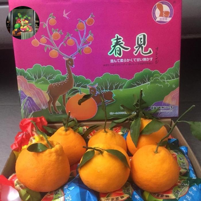 Buah Segar Jeruk Dekopon Buah Papakan 1 Keranjang Manis Pasti Diskon