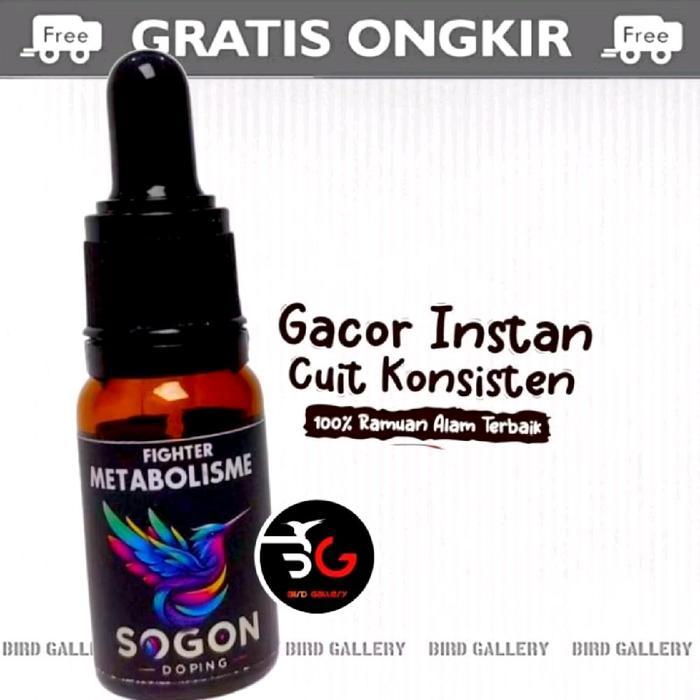 Royalcaninpetindo - Metabolisme Fighter Metabolisme Sogon Pleci