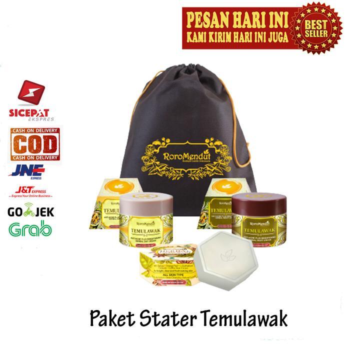 RORO MENDUT STARTER TEMULAWAK ANTI ACNE BRIGHTENING PAKET SKINCARE