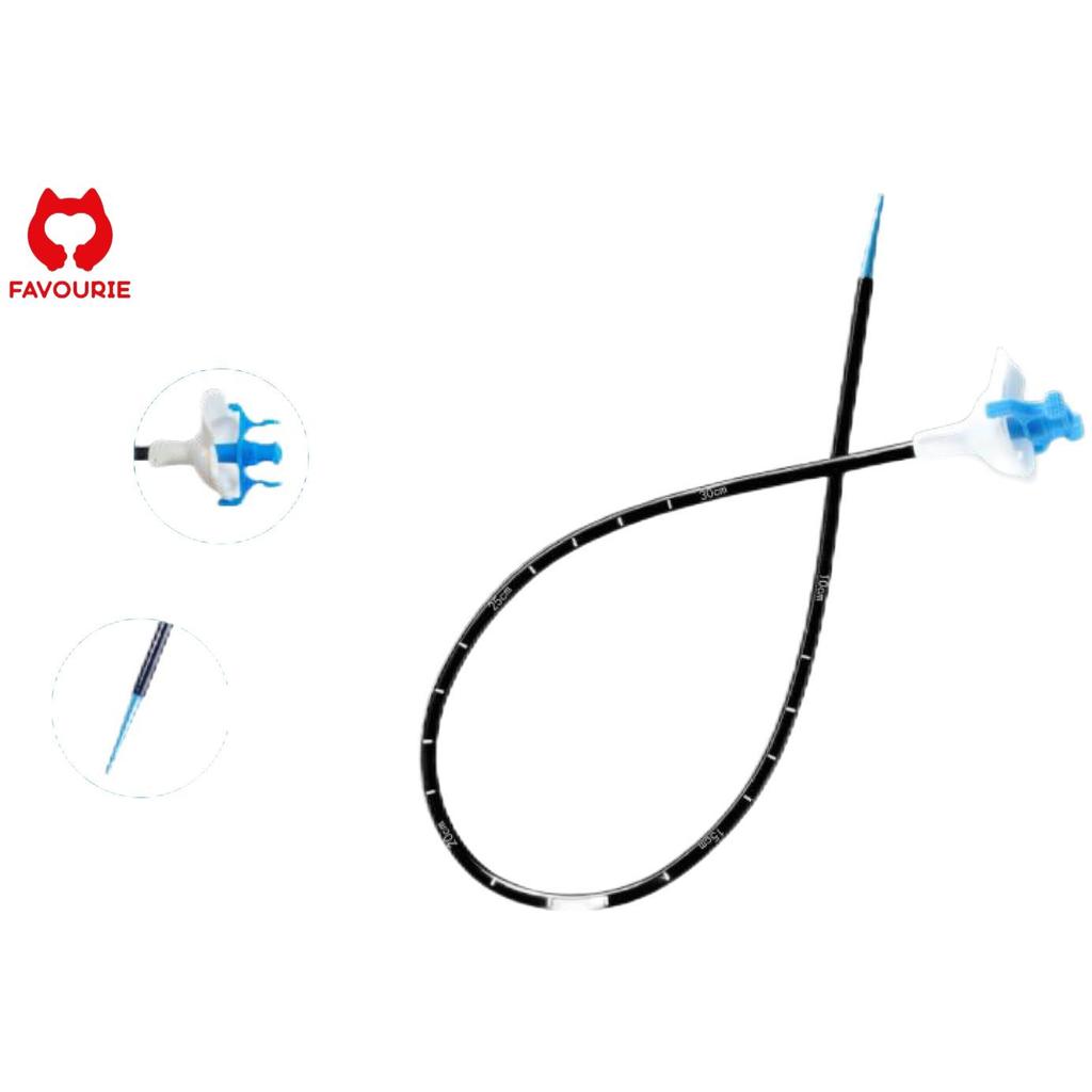Terbaru FAVOURIE Medical Disposable Urological Instruments/Ureteral Access Sheath/Zebra Guide Wires/
