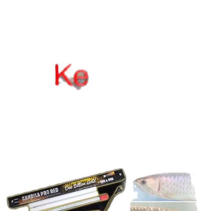 Kandila Pro Red One Milion Gold 600