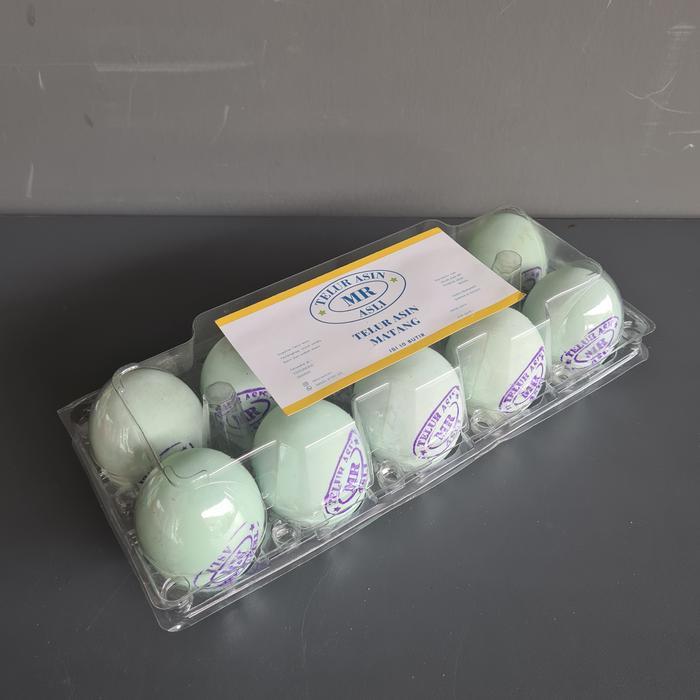 PAKET TELUR ASIN B ISI 10 - PACKING MIKA PLASTIK - KHUSUS GOJEK