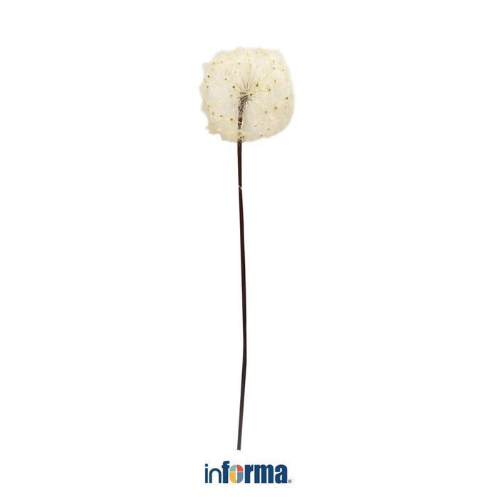Informa Bunga Artifisial 90 cm Dandelion - Putih Pajangan Rumah Bunga Plastik Dekorasi Ruangan