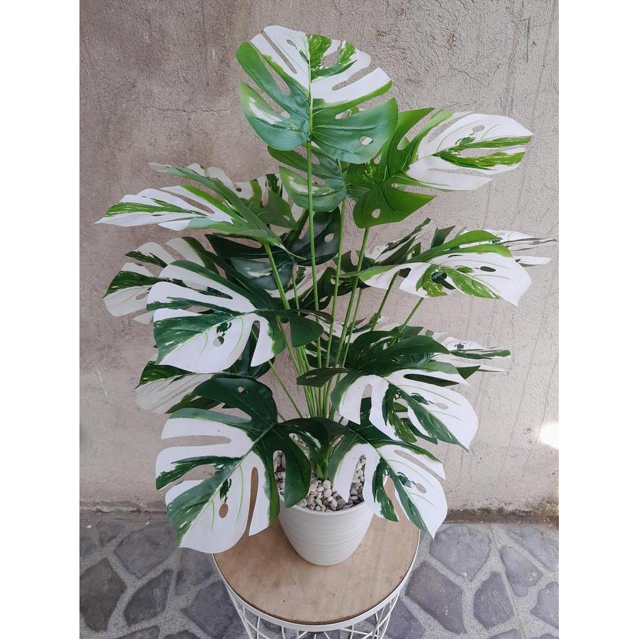 TANAMAN PALSU MONSTERA VARIEGATA 18 CABANG(SUDAH TERMASUK POT) Plastik Bunga