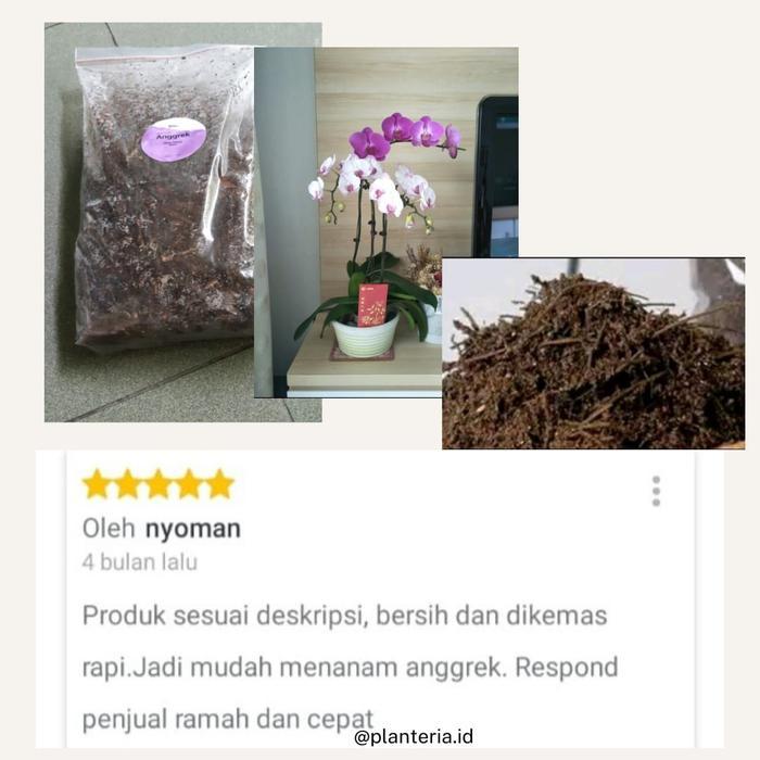 "New" Media Tanam Anggrek Dendrobium Media Tanam Anggrek Organik Siap Pakai