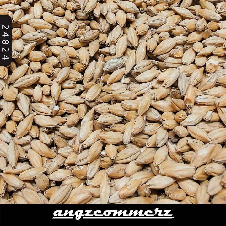 Gandum Weyermann Brewing Malt 1KG Pale Ale Carafa 1 Carafa 3 Melanoidin Wheat Pale