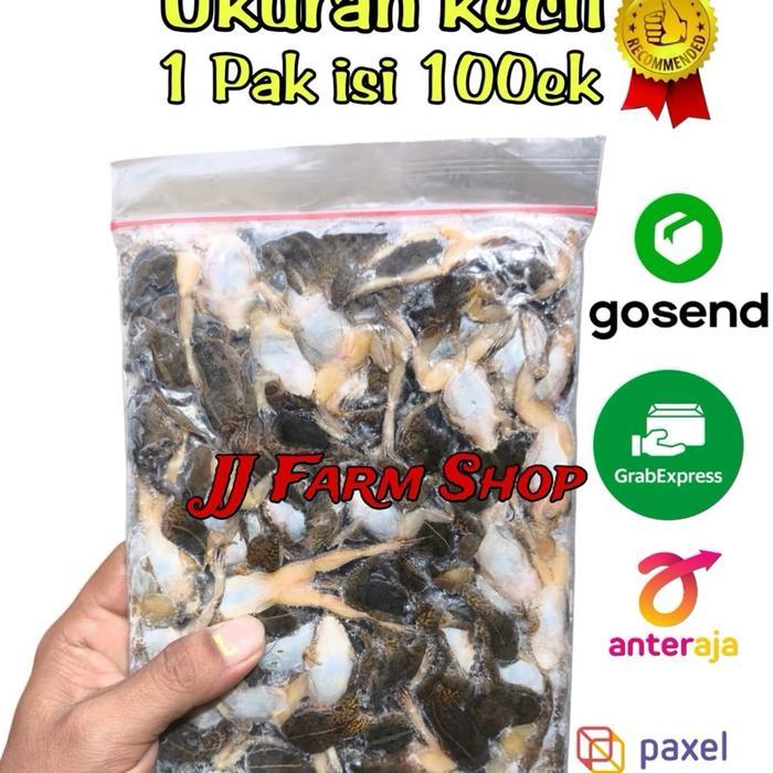 Kodok Sawah Beku Kodok Kecil 1Pack Isi 100Ekor Kodok Beku Segar Pakan Ikan Predator Dll Jaminan