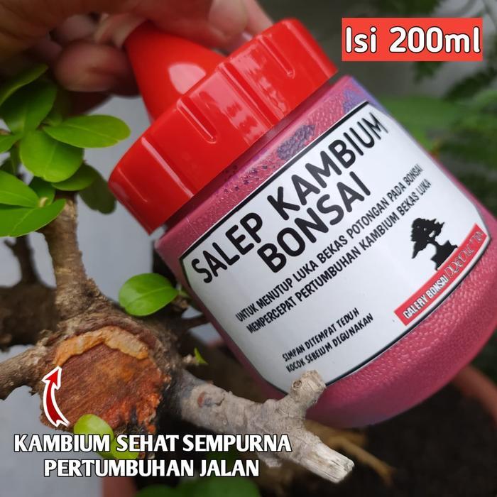 "New" Salep Kambium Bonsai Plus Fungisida ORIGINAL