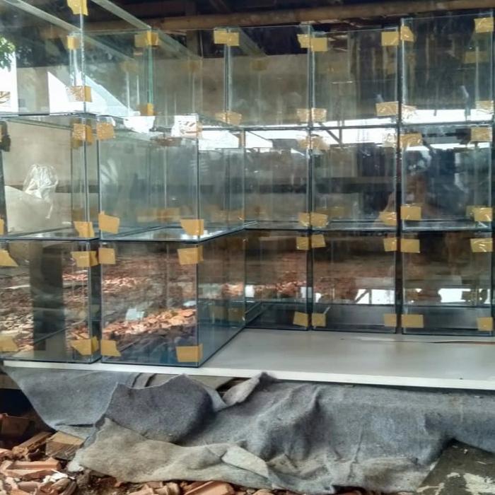 PROMO akuarium ukuran 60x30x35 pp full 5mm dasar 8warna