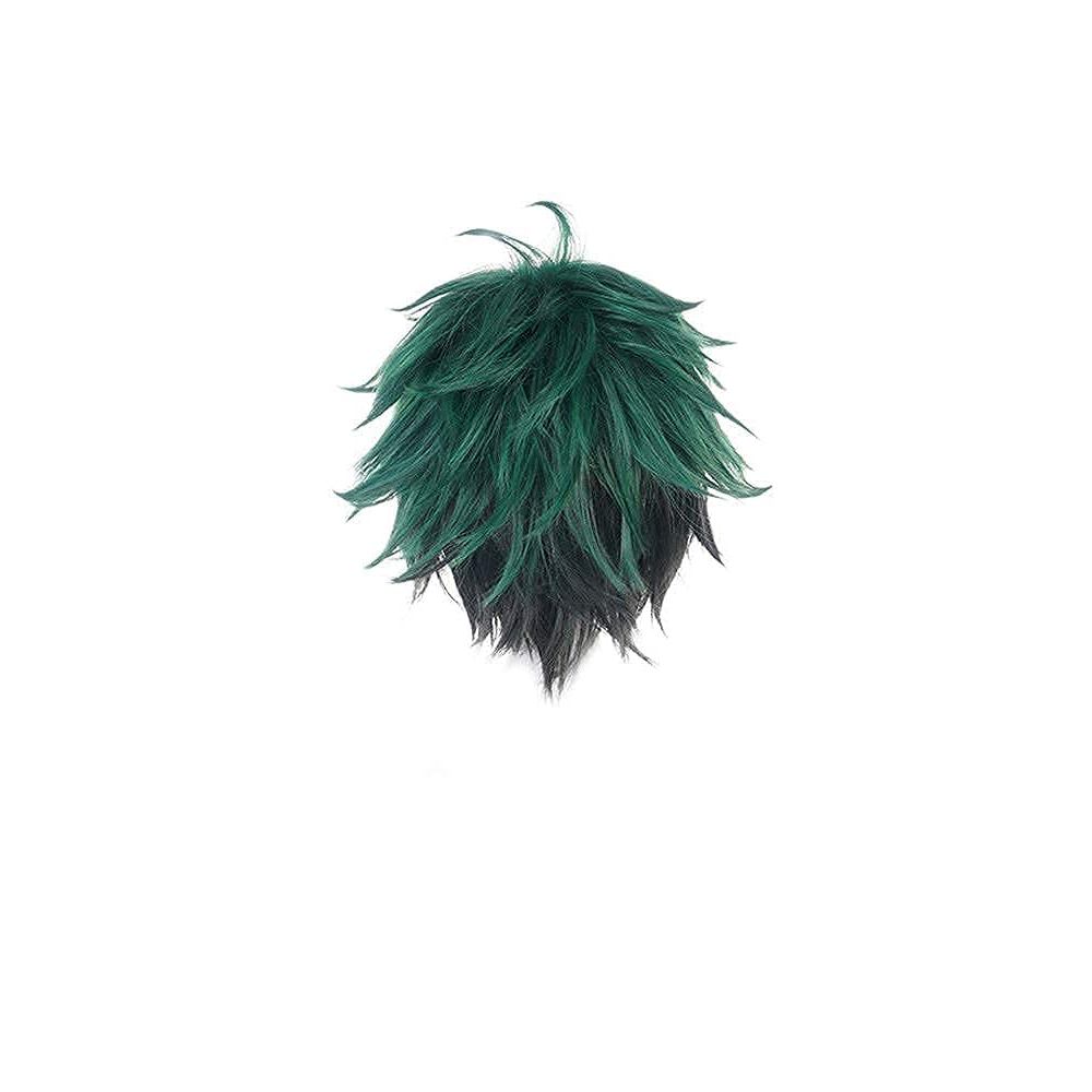 My Hero Academia Izuku Midoriya Cosplay Wig Boku No Hero Academia Academy Cosplay Hair Halloween