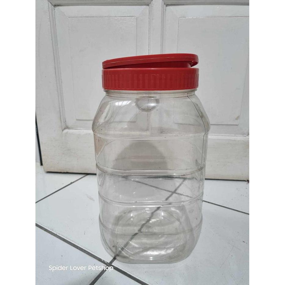 FREE ONGKIR Kandang Tarantula Burrower atau Arboreal Dewasa Murah Vent Kawat