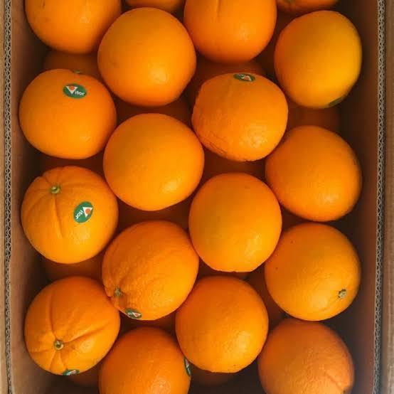 Buah Jeruk Sunkist Valencia Navel Import Pasti Promo