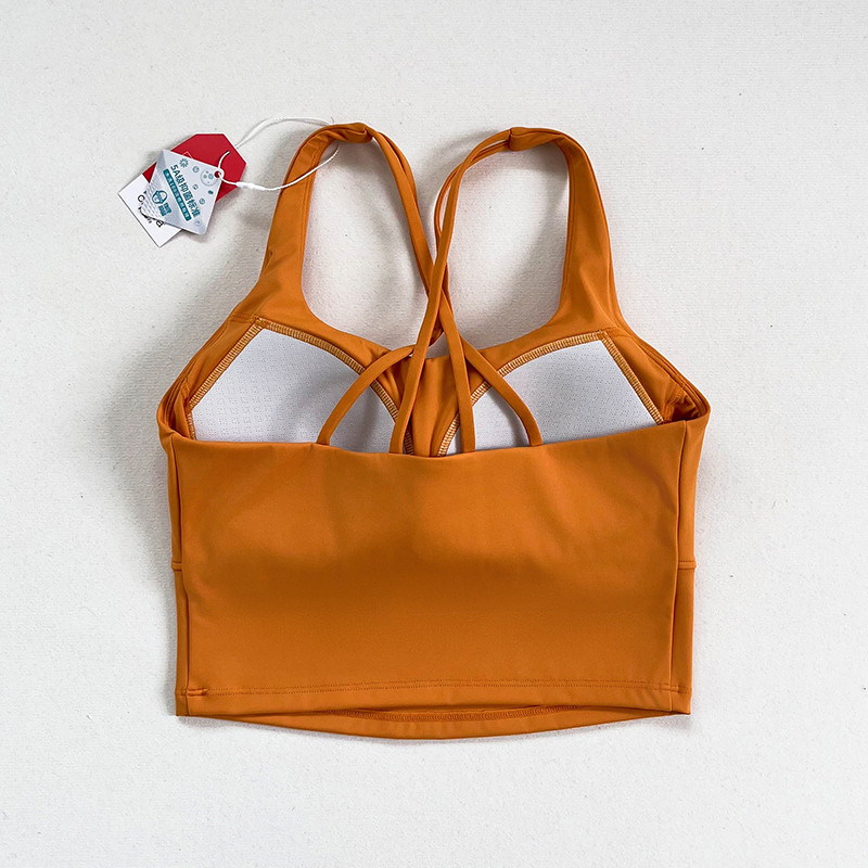 A Yoga Fitness Bra, A Professional Fitness Training Bra For Women, A Yoga Fitness Halter Bra For