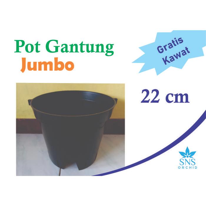 Pot Gantung Jumbo 22 cm Bunga Anggrek Cattleya Kawat Bulat Plastik