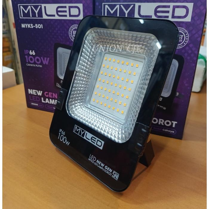Lampu Sorot/Taman 100W 100 watt MyLED/PANALED IP66