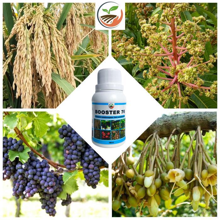 GARDEN" BOOSTER 76 HORMON PEMBUNGAAN DAN PEMBUAHAN - HORMON DAN PUPUK BUAH DAN TANAMAN BUNGA POHON