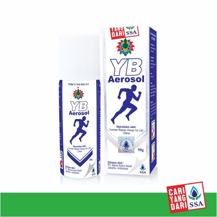 Ready YB Aerosol 50g Sport Spray