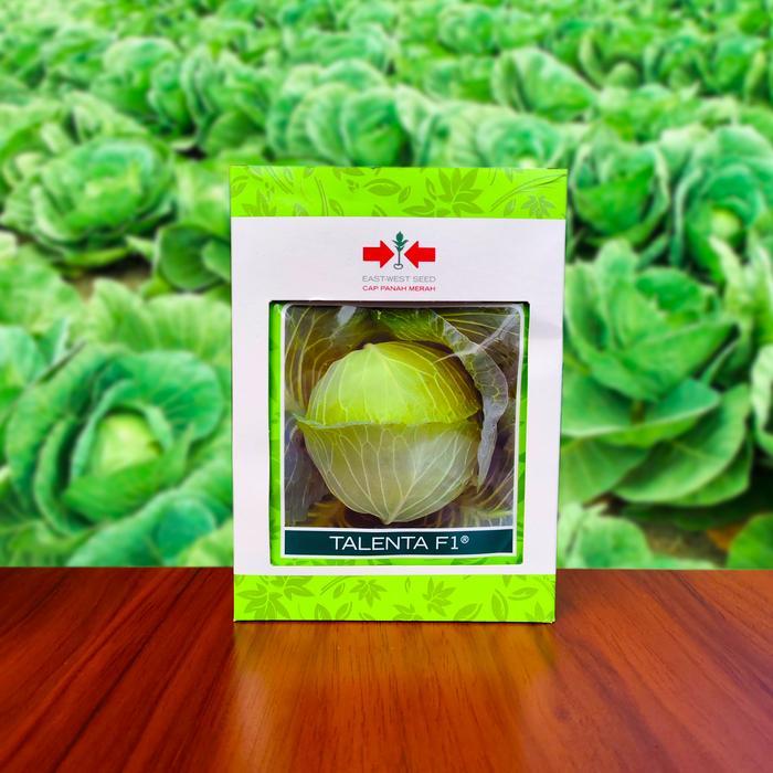 Serasiinspace Benih Kubis Talenta F1 Bibit Kol Hijau 400 Butir Cap Panah Merah