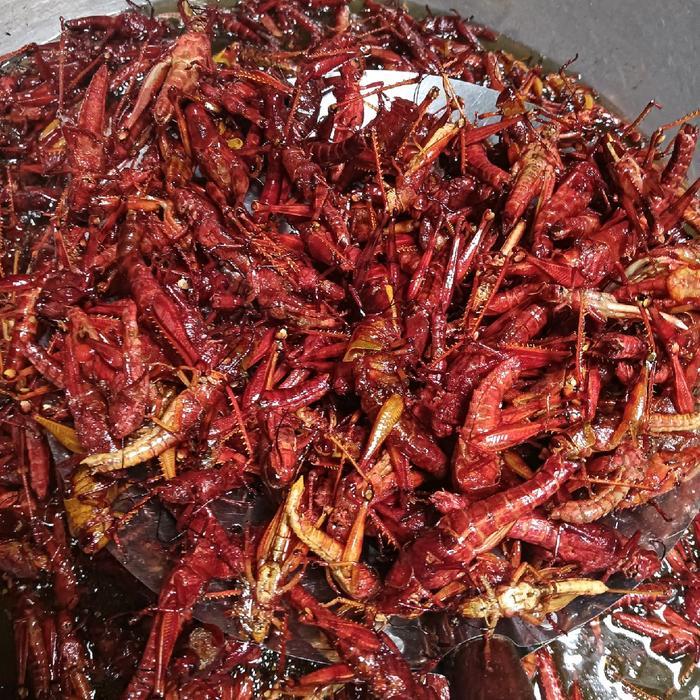 YUMMY BELALANG GORENG,BELALANG KAYU/BESAR BERAT -+100GRAM Camilan Kering Pedas Toples Nastar