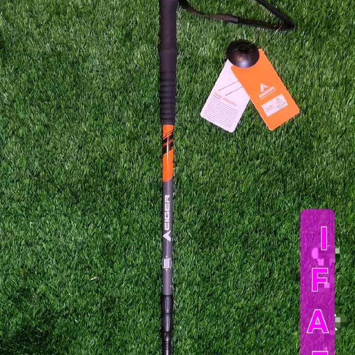 Eiger Trail Enduro Trekking Pole