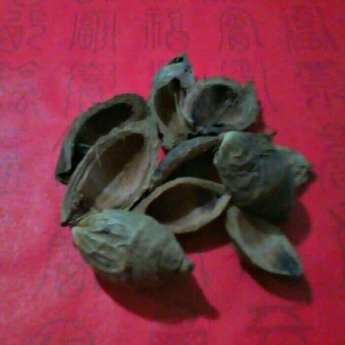 300 GR GRAM KULIT PINANG DA FU PI BING LANG PI PEEL ARECAE