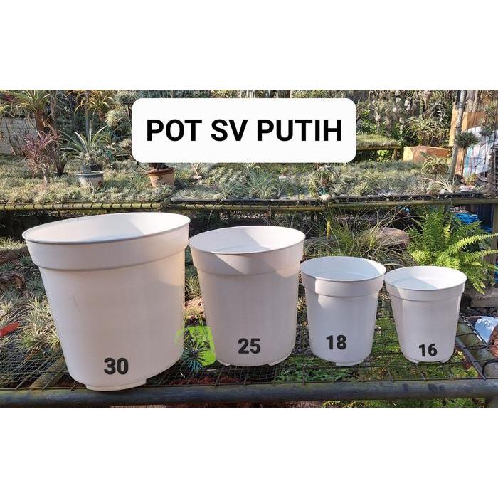 Top Pot Tinggi Pot SV 30 PUTIH Pot Bunga Tinggi Pot Tanaman Tinggi