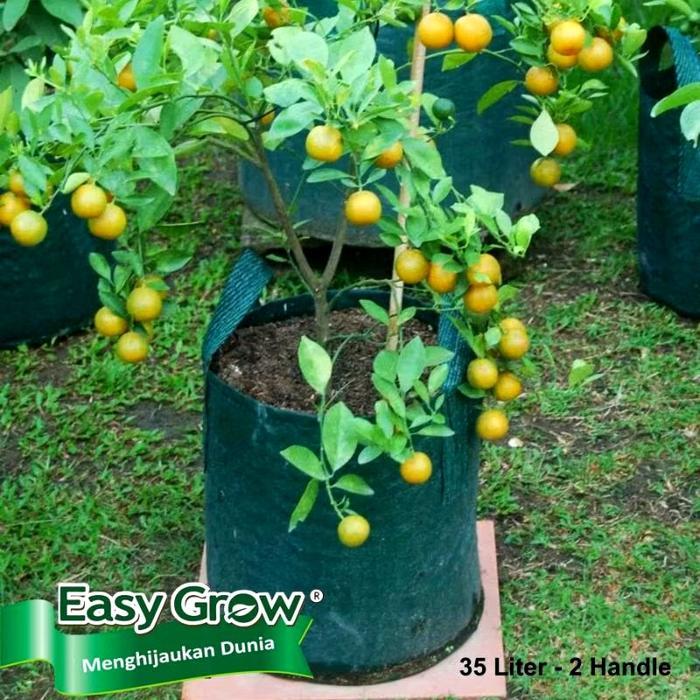 Planter Bag 35L Easy Grow 37 x 33 cm Tebal Pot Tanaman Polibag 35 Liter Kantong Karung