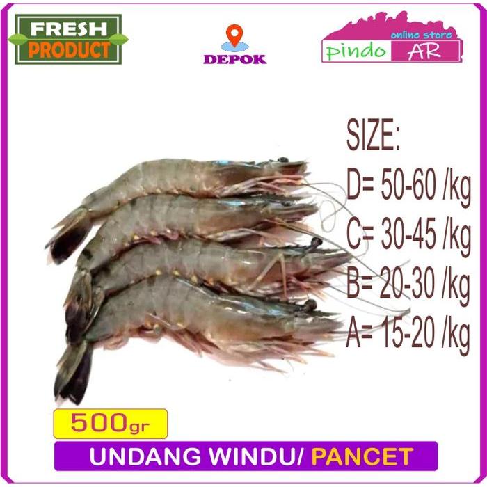 UDANG WINDU FRESH / UDANG PANCET JUMBO SEGAR 500 GRAM