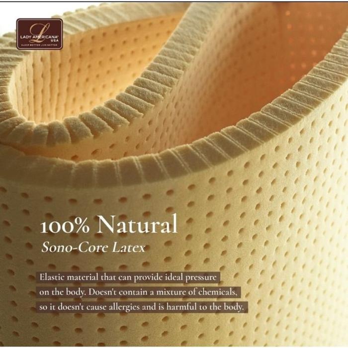 Mattress Kasur Lady Americana Excelsior Plush