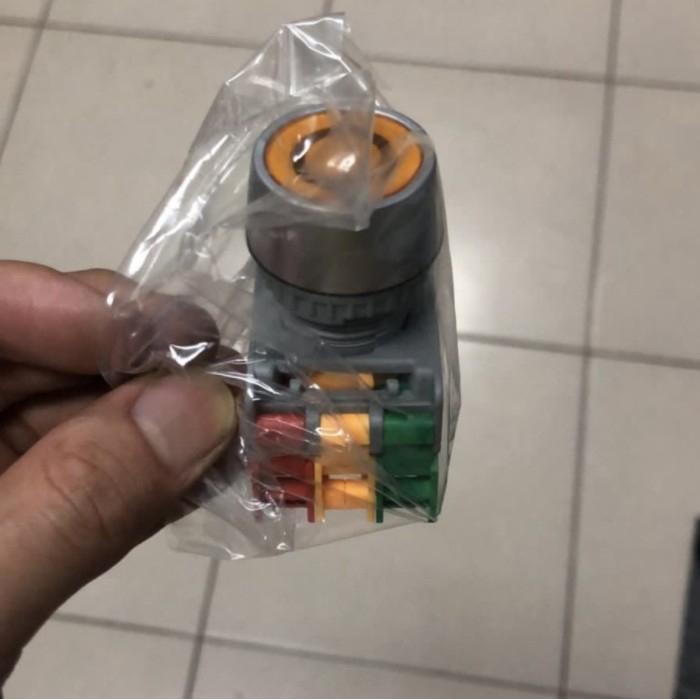 Push Button Lock Indicator Lamp 1No 1 Nc 22Mm 220V Premium