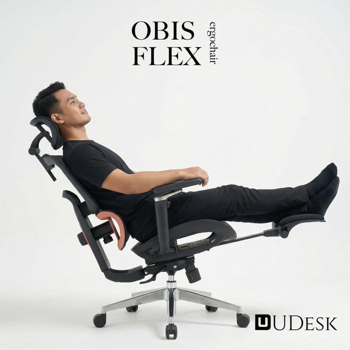 Ergonomic Chair Obis Flex - Adjustable Lumbar Support Mesh Chair with Footrest