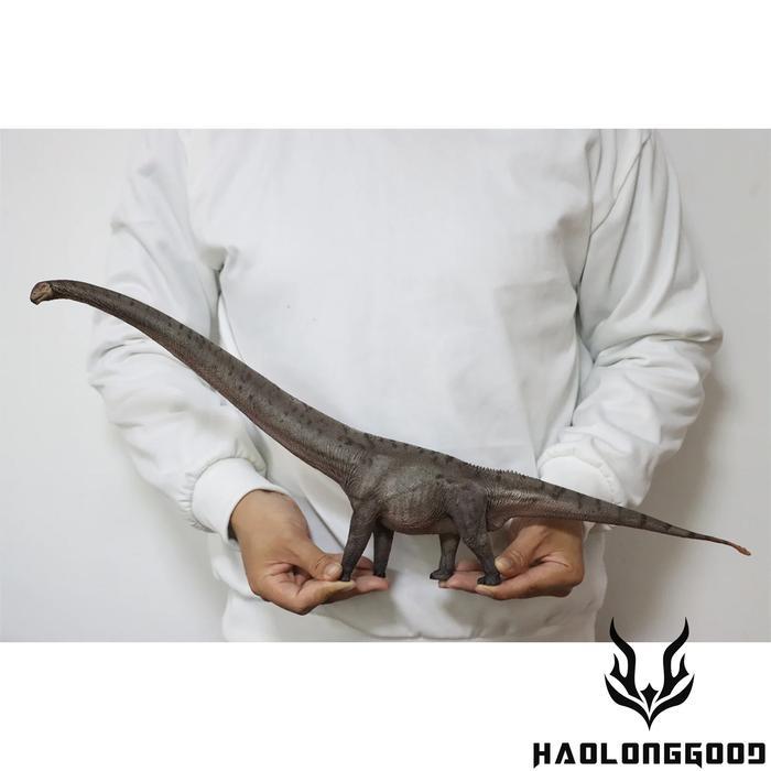 Ready Haolonggood 1/35 Mamenchisaurus - Dinosaur Model
