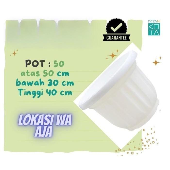 Lokasi Pondok Gede Grosir Pot 50 Cm Hitam Bunga Tambulapot