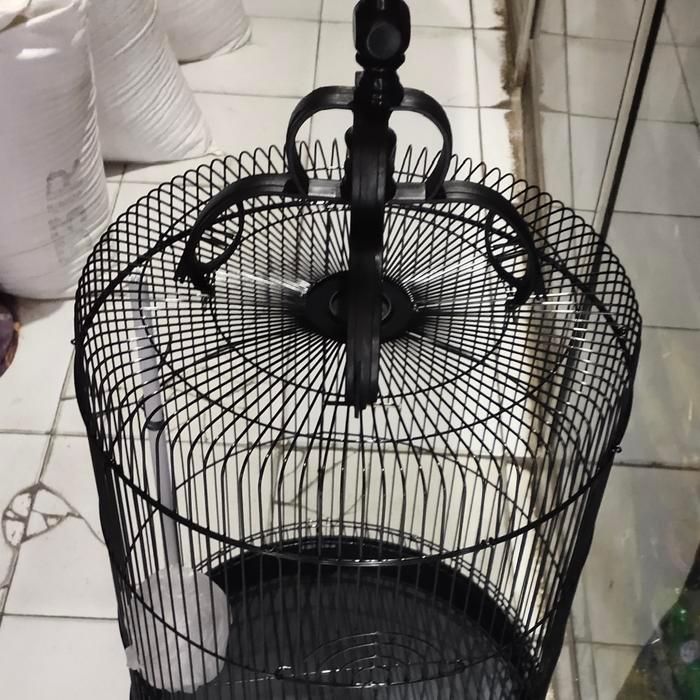 kandang love bird jumbo