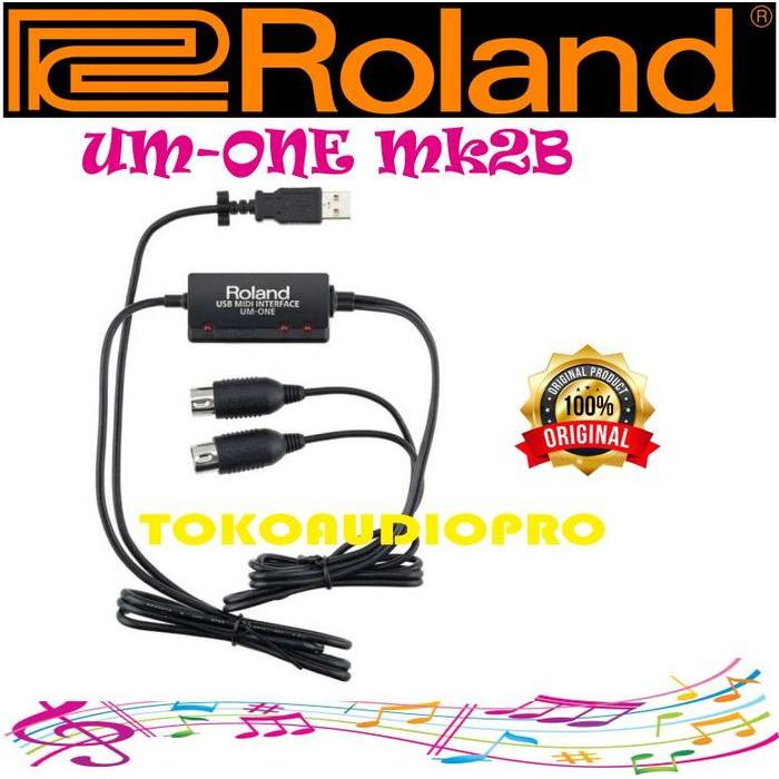 Kabel Midi Roland Um-One Mk2 Usb Midi Interface Kabel Midi-Usb Co