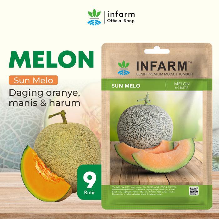 INFARM - Benih Buah Melon Sunmelo, Bibit Buah Melon Unggul Bibit Melon Hibrida Premium Berkualitas