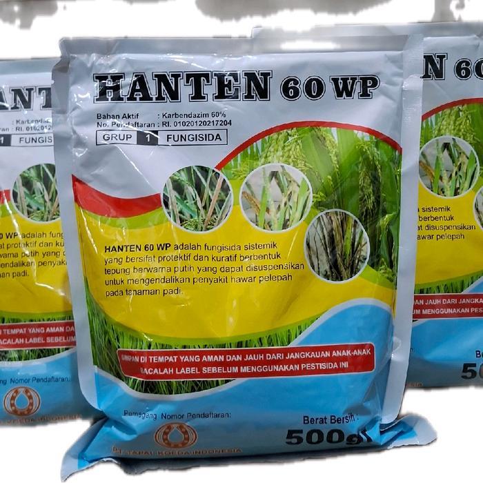Hanten 60Wp Fungisida Sistemik Karbendazim 60% Untuk Penyakit Antraknosa, Patek Pada Cabai. Hawar