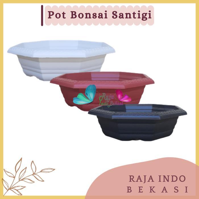 "New" Pot Bonsai Plastik Hitam Putih Murah Pot Bonsai Besar Kecil 20 25 30