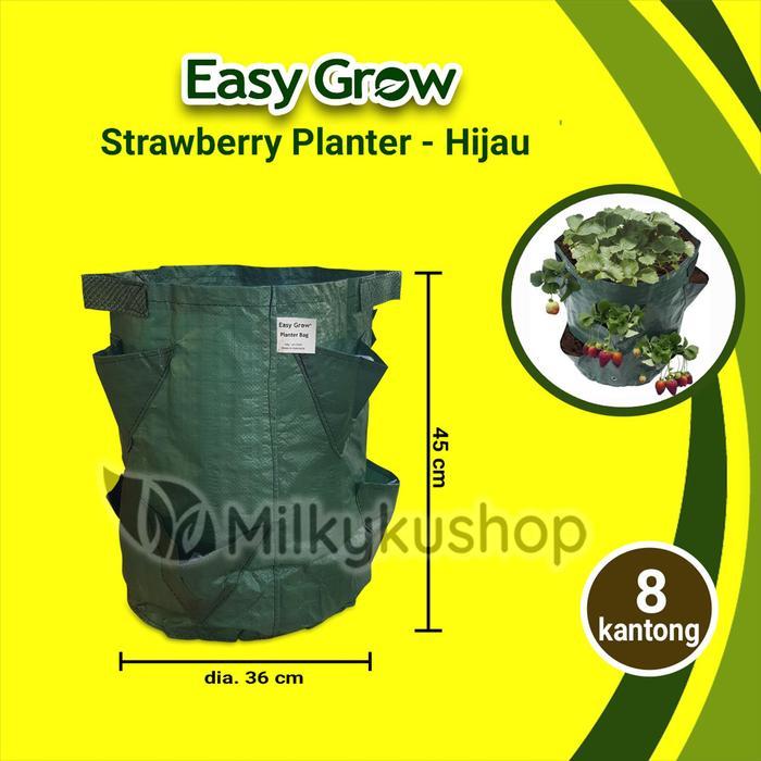 STRAWBERRY PLANTER BAG EASY GROW 8 KANTONG - HIJAU