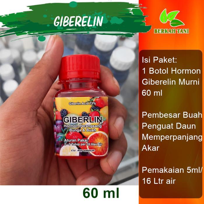 Zico Stored Giberelin Giberellin Ga3