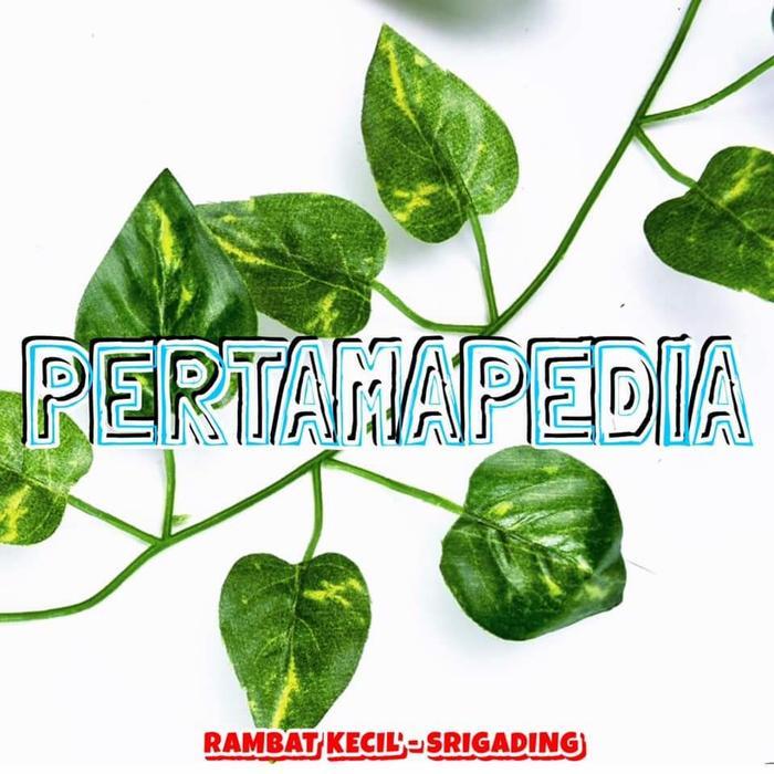 "New" Pertamapedia Satuan Daun Rambat Plastik 2 Meter/ Bunga Plastik/ Daun Rambat Artificial/ Bunga