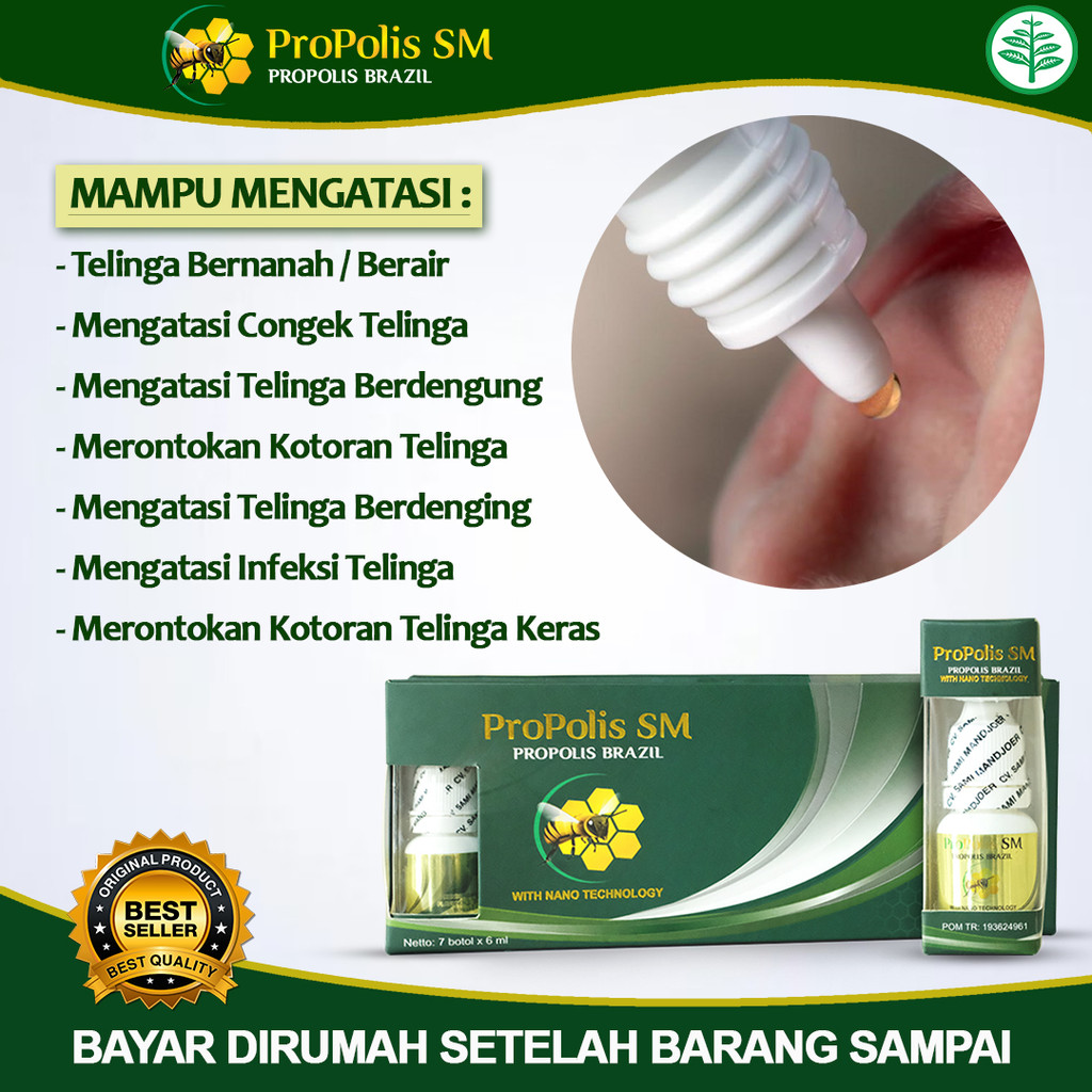 Propolis SM Brazil  |  Tetes Telinga Congek - Telinga Bernanah Berair Aman Untuk Anak Dewasa | HALAL