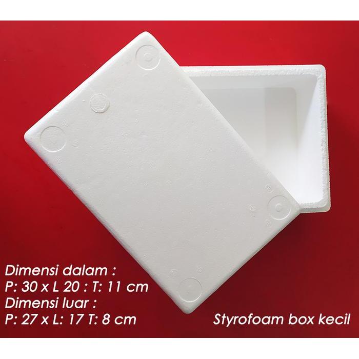 Styrofoam Box Kotak Sterofoam Box Ikan Cooler Box Kecil