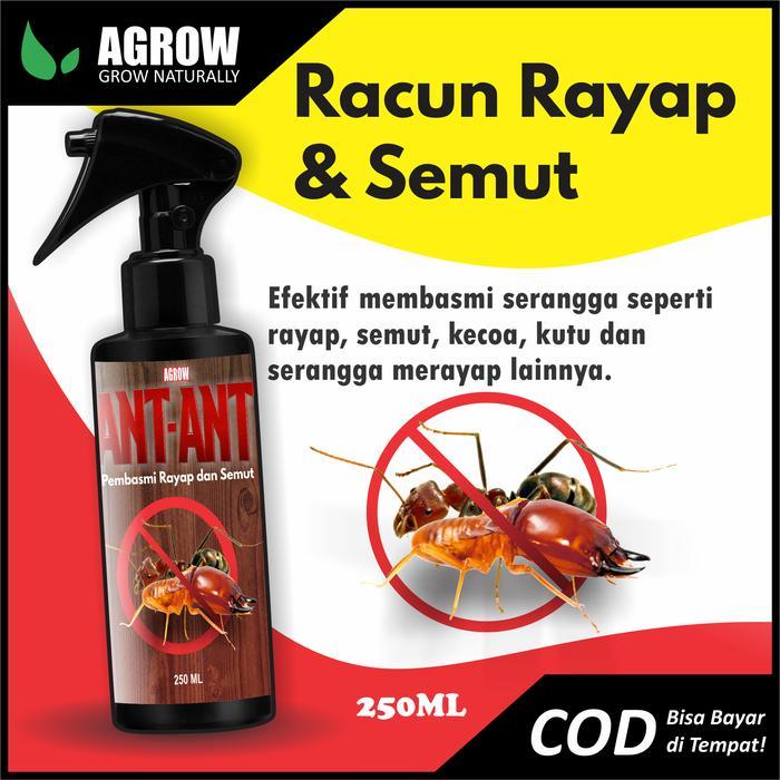 ANT-ANT Cairan Anti Serangga Pembasmi Rayap dan Semut Spray Anti Semut Anti Kecoa Anti Rayap Anti