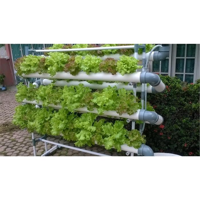 Argotech_ Nutrisi Hidroponik Ab Mix Sayuran Daun Pekatan 10 Liter Untuk 1000 Liter Air Tandon