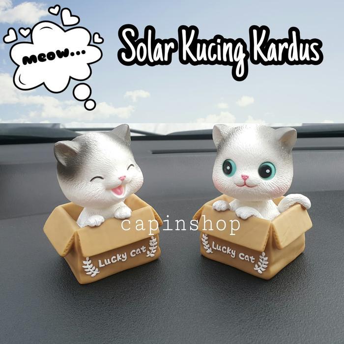 Hiasan Dashboard Mobil Kucing
