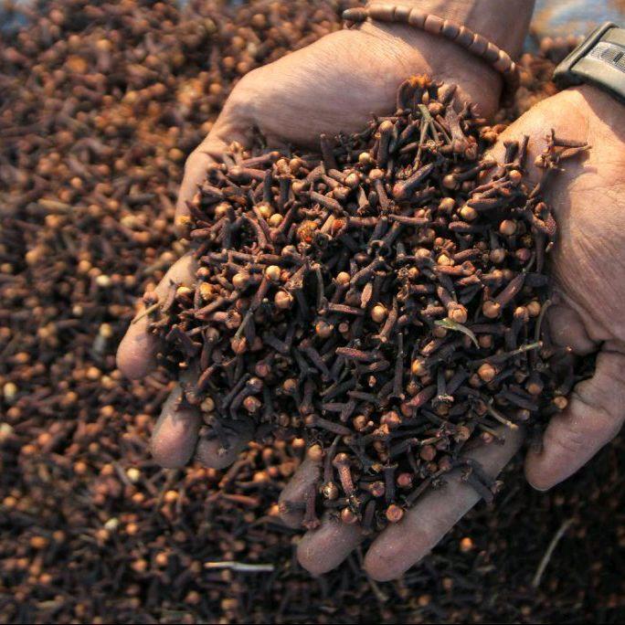 Diskon Jayana Reborn Bumbu Rempah 1Kg Macam Varian Rasa Masakan Dapur Termurah